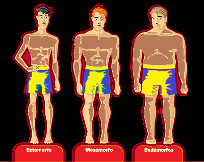 Creative commons endomorfo y ectomorfo